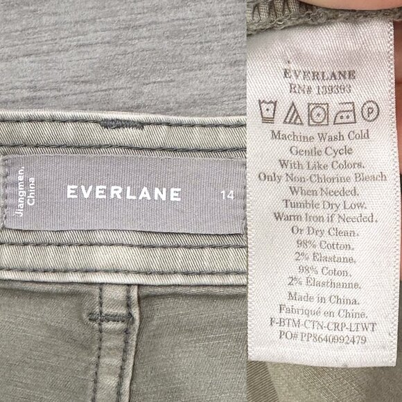 Everlane The Lightweight Wide-Leg Crop Stretch Cotton Chino Pants in Light Sage - Picture 4 of 16